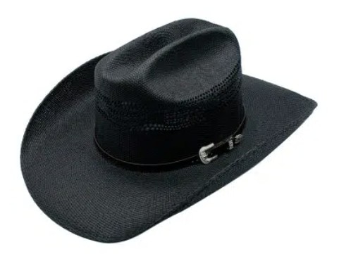 Billings a Classic Western Hat by Peter Grimm 2025 03 17 070950