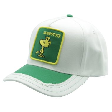 Woodstock Ripped Cap
